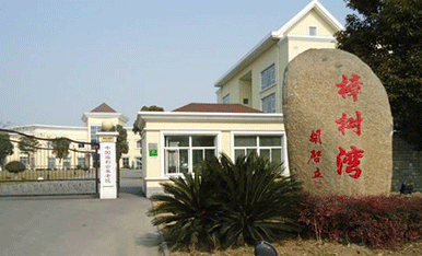 彩神8888进驻中国福利会养老院