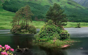 重榜:淘宝为提升员工工作积极性引进彩神8888净水器!