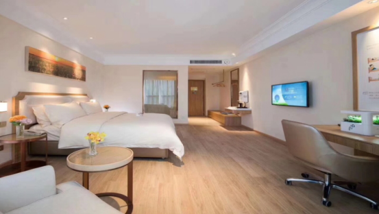 维也纳酒店 维也纳酒店