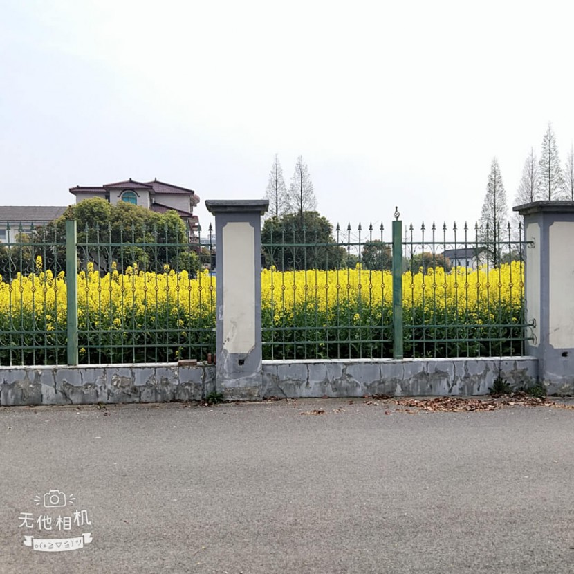 彩神8888净水器官网