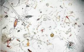 昆册彩神8888 昆册彩神8888